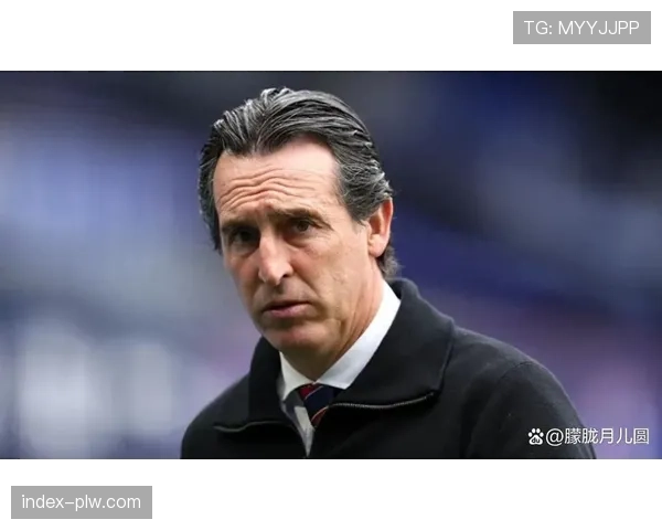 埃梅里带领维拉豪取10胜1负 从降级区直冲欧冠区